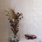 Apartament Minas De Silvarosa