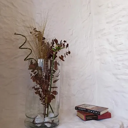 Apartamento Minas De Silvarosa