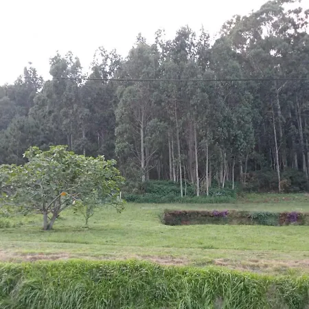 Minas De Silvarosa