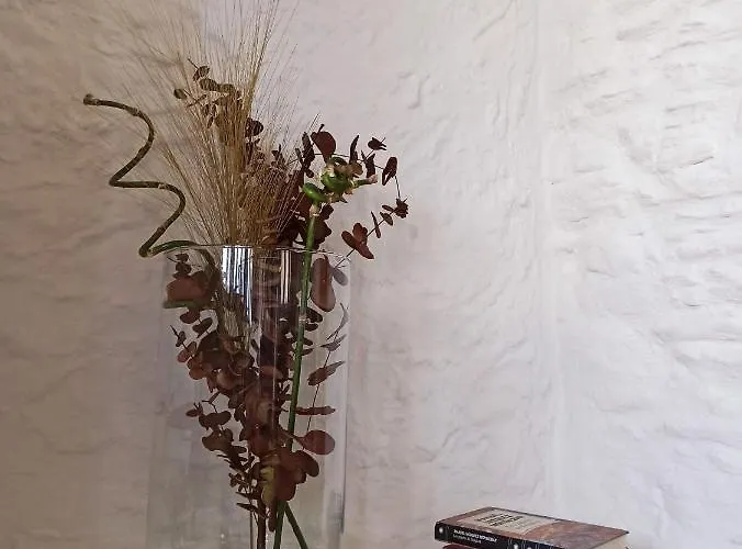 Apartamento Minas De Silvarosa