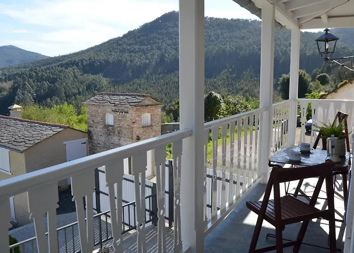 Minas De Silvarosa * Viveiro